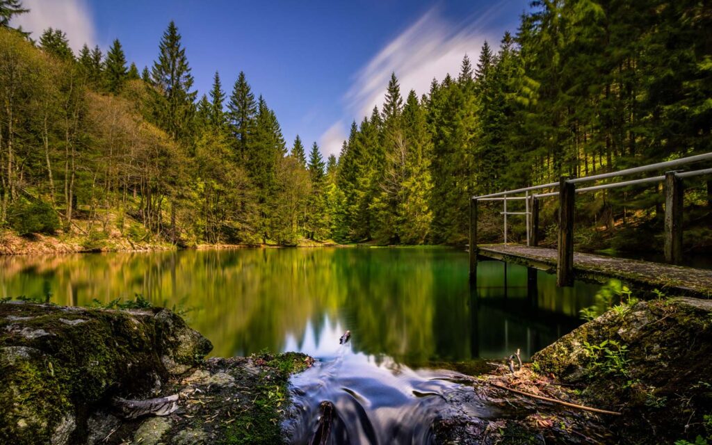 Thüringer Wald
